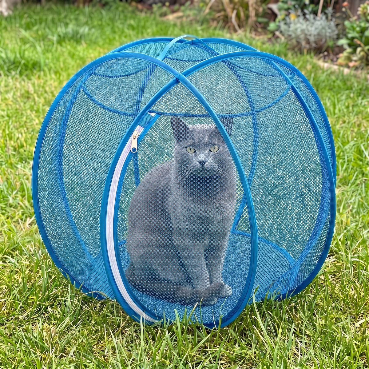 Cat enjoying an OrbiCat playpen